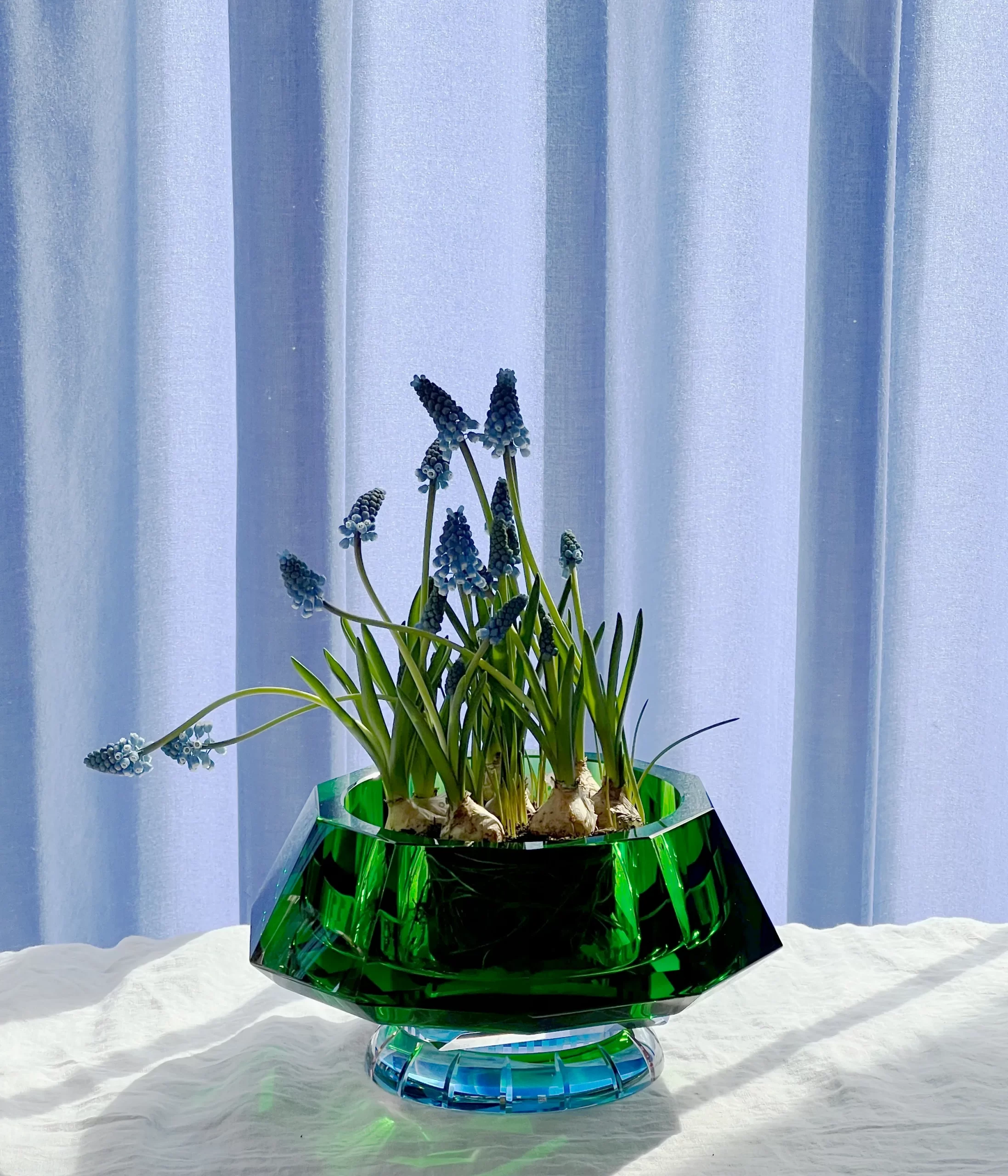 Lizzi Bowl - Green / Clear / Azure / Rose - Hình ảnh 3